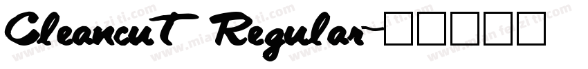 Cleancut Regular字体转换